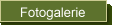 Fotogalerie